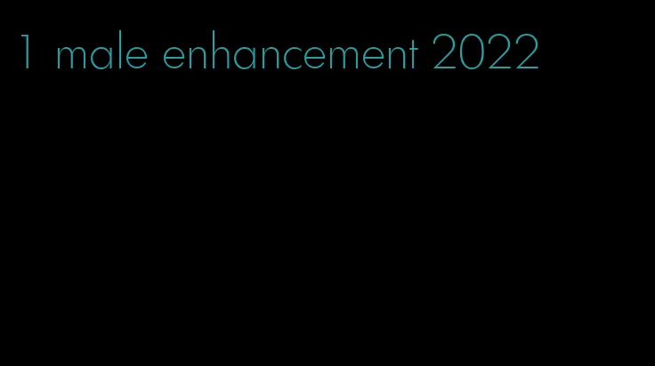 1 male enhancement 2022