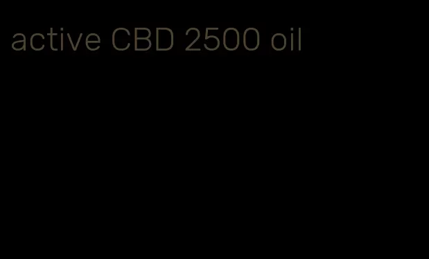active CBD 2500 oil