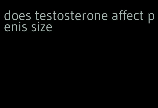 does testosterone affect penis size
