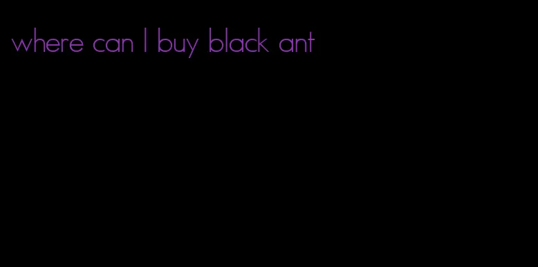 where can I buy black ant