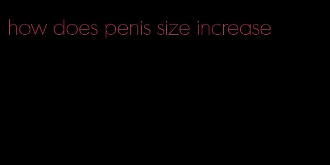 how does penis size increase