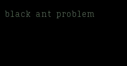 black ant problem