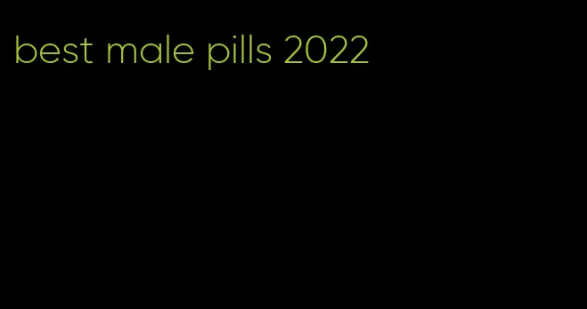 best male pills 2022