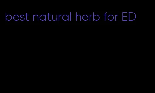 best natural herb for ED