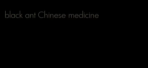 black ant Chinese medicine