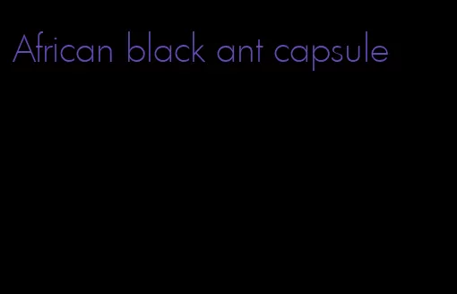 African black ant capsule