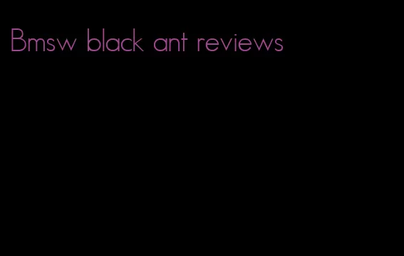 Bmsw black ant reviews