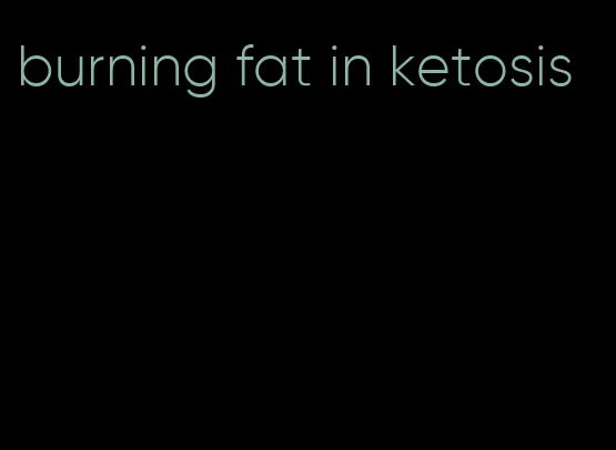 burning fat in ketosis