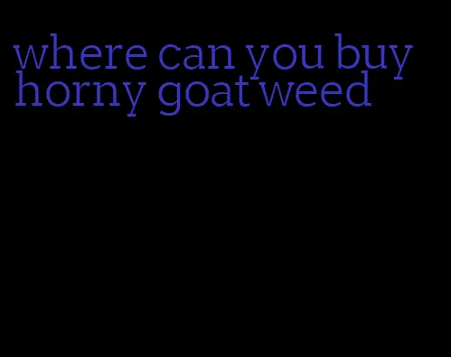 where can you buy horny goat weed