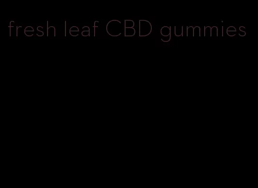 fresh leaf CBD gummies