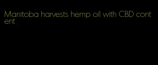 Manitoba harvests hemp oil with CBD content