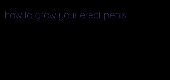 how to grow your erect penis