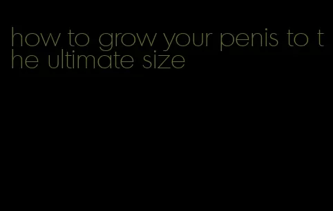 how to grow your penis to the ultimate size