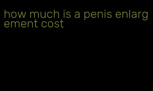 how much is a penis enlargement cost