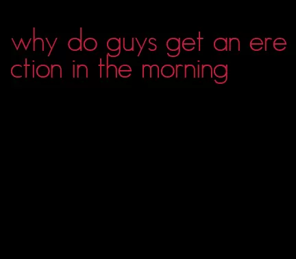 why do guys get an erection in the morning