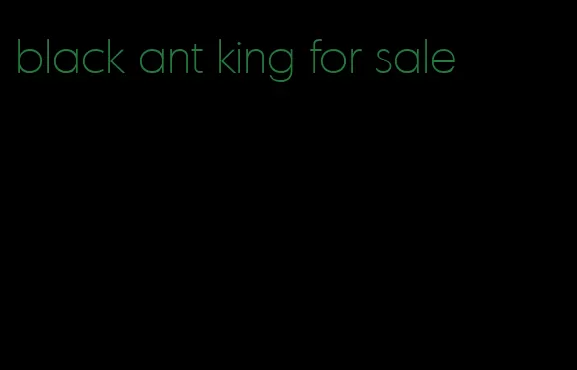 black ant king for sale