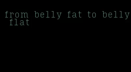 from belly fat to belly flat