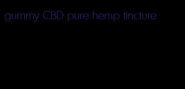 gummy CBD pure hemp tincture