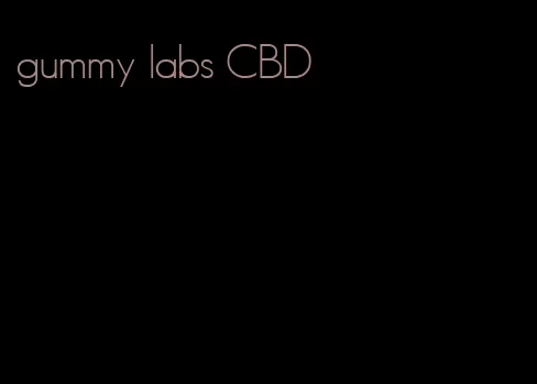 gummy labs CBD