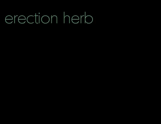 erection herb
