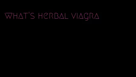 what's herbal viagra
