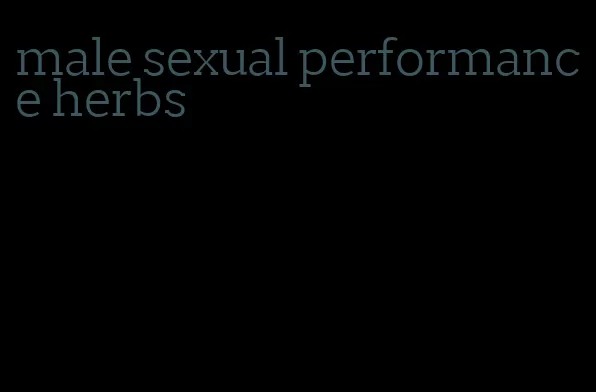 male sexual performance herbs