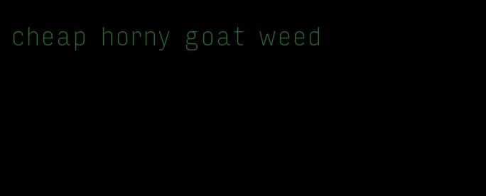 cheap horny goat weed
