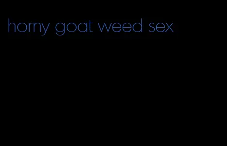 horny goat weed sex
