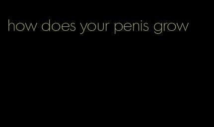 how does your penis grow
