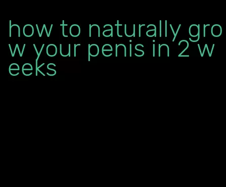 how to naturally grow your penis in 2 weeks