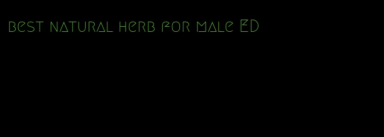 best natural herb for male ED