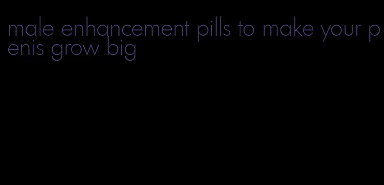 male enhancement pills to make your penis grow big