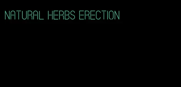 natural herbs erection