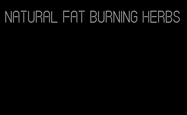 natural fat burning herbs