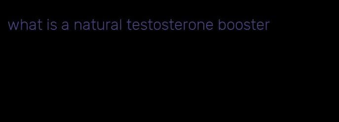 what is a natural testosterone booster