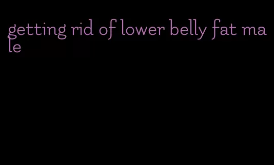 getting rid of lower belly fat male