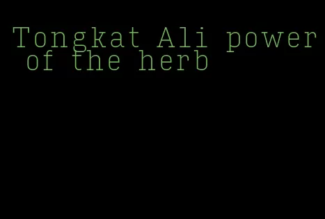 Tongkat Ali power of the herb