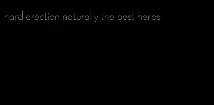 hard erection naturally the best herbs