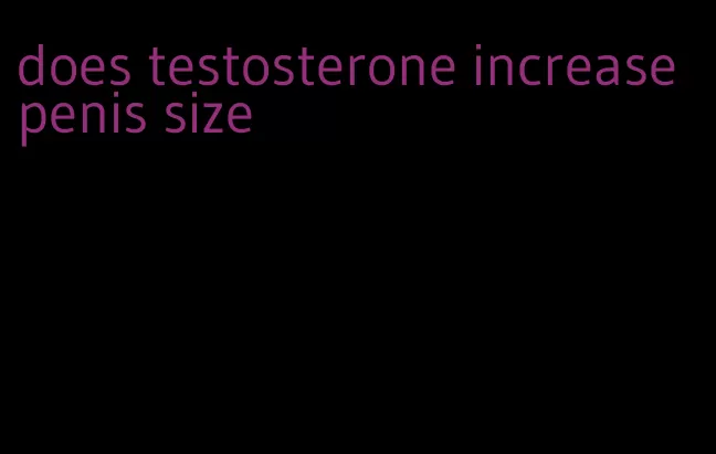does testosterone increase penis size