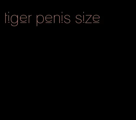 tiger penis size