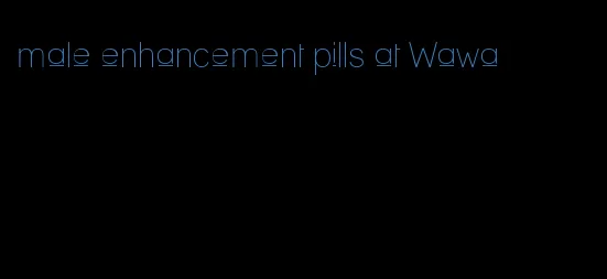 male enhancement pills at Wawa