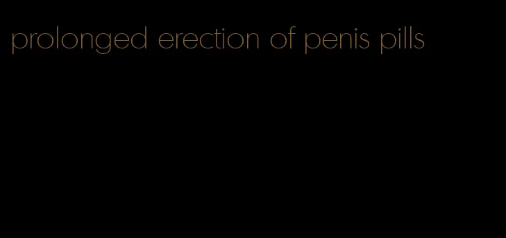 prolonged erection of penis pills