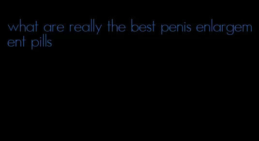 what are really the best penis enlargement pills