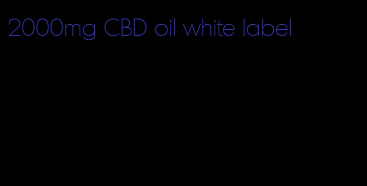 2000mg CBD oil white label