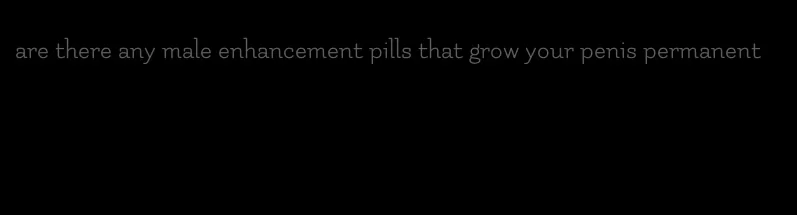 are there any male enhancement pills that grow your penis permanent