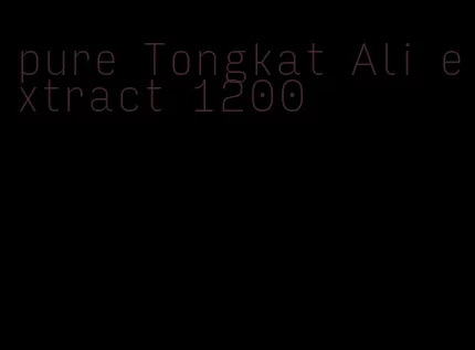 pure Tongkat Ali extract 1200