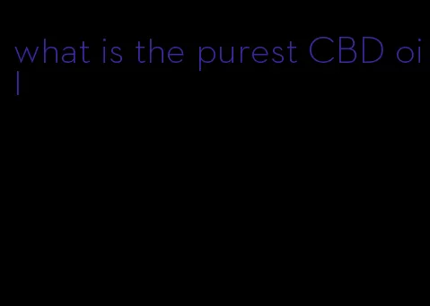 what is the purest CBD oil