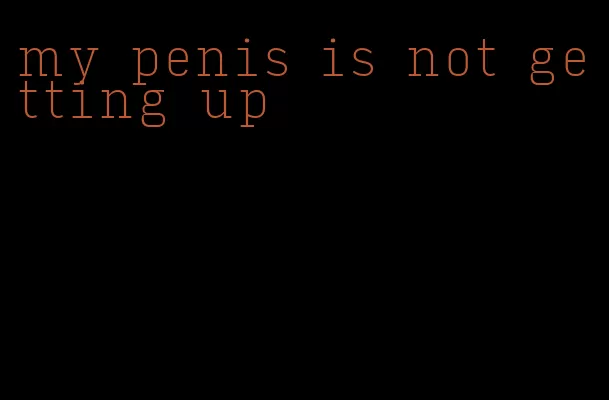 my penis is not getting up