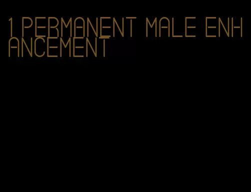 1 permanent male enhancement