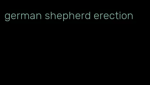 german shepherd erection